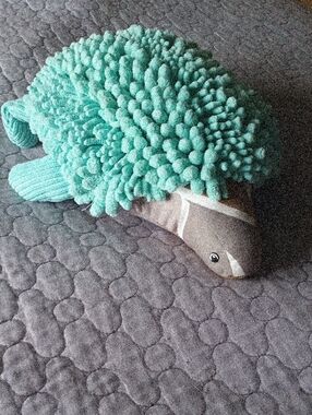 Norwex Turtle